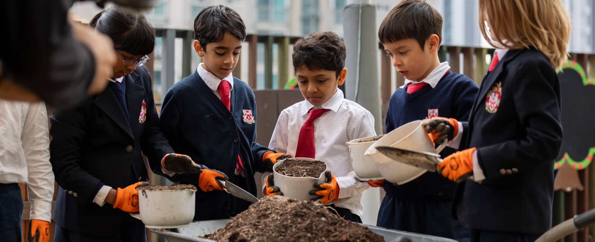 Sustainability & Global Citizenship